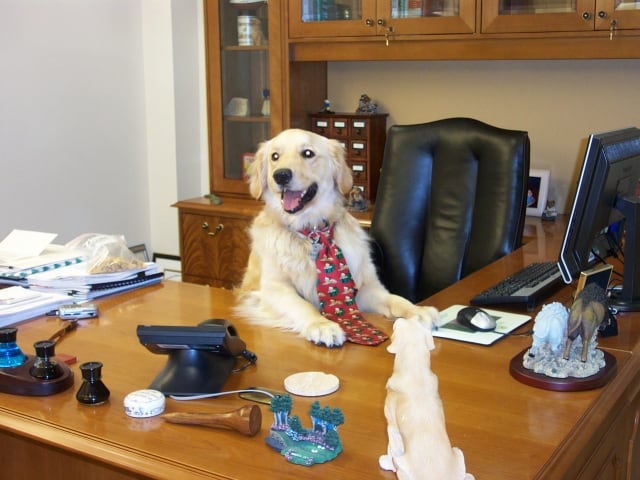 healthy happy employees good for business