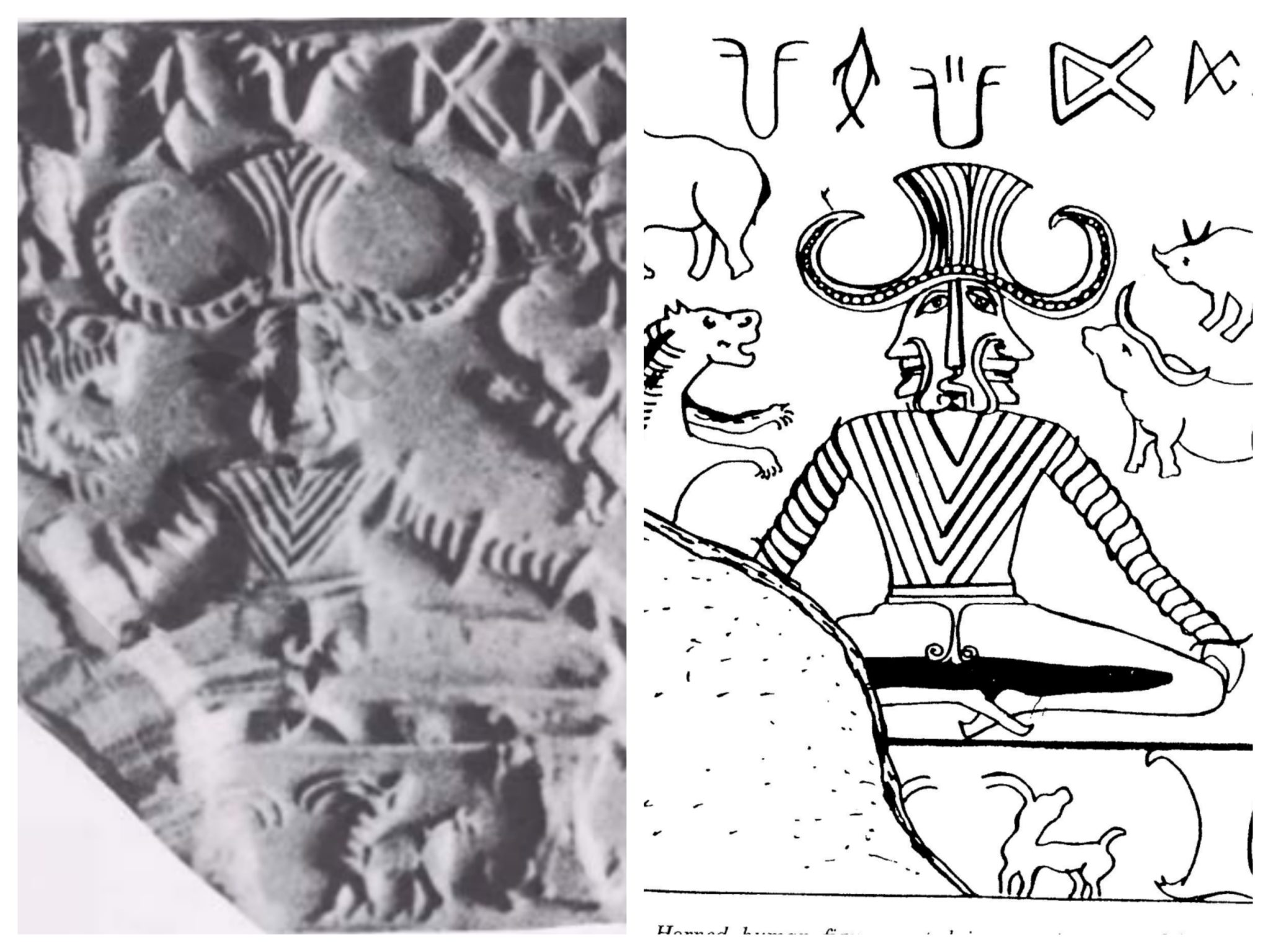 history of yoga, vedic yoga history, simple definition of yoga, yoga history, Yoga evolution, international yoga day, is yoga a religion,