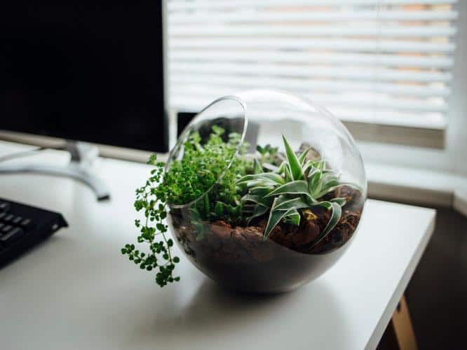 Creative workspace ideas, workspace creative, Creative workspace,creative design, home office ideas, how to create a creative workspace, workspace ideas amll spaces, effective office layout