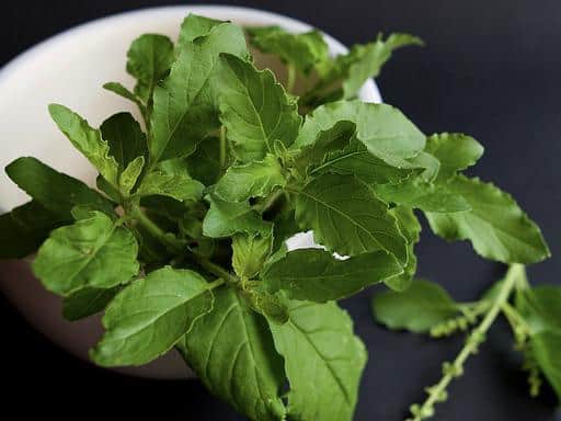 Indian Superfoods Ayurveda, Ayurvedic Foods, ayurvedic Food benefits, ginger ayurveda, ginger ayurveda benefits, turmeric milk ayurveda, turmeric ayurveda, ayurveda, Indian superfood list, ancient indian healthy food, ancient indian superfoods, healthy living, superfoods, ghee, turmeric, taste, lifestyle