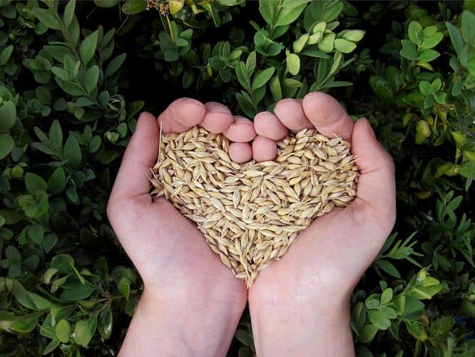 Healthy Eating Habits, Ayurvedic Diet Rules, ayurvedic eating Rules