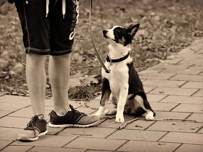 how-to-let-go-of-expectations